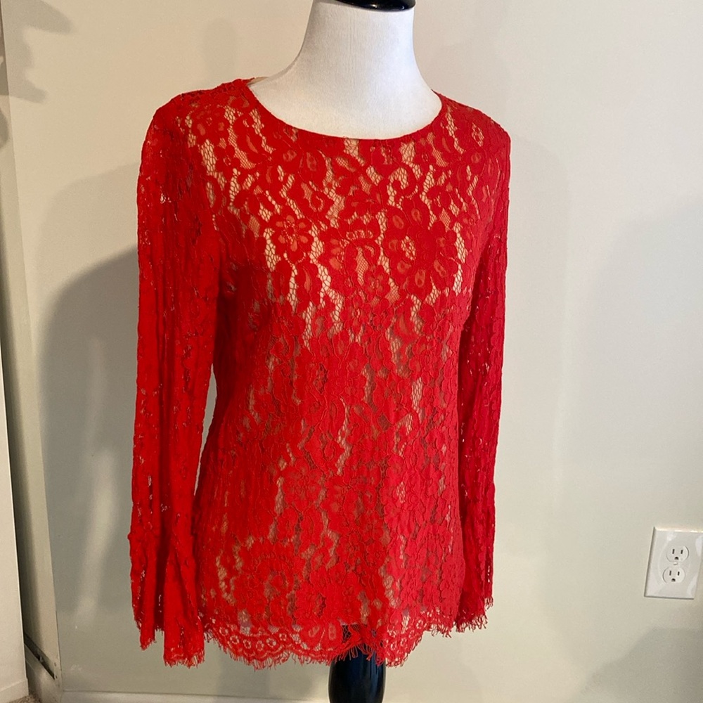 Rose + Olive Lace blouse long sleeve top